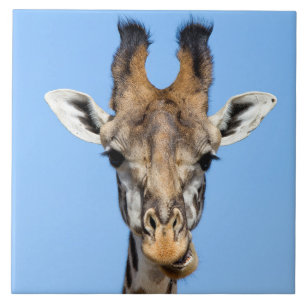 Carreau Giraffe