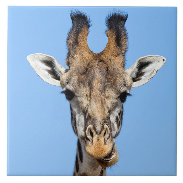 Carreau Giraffe (Devant)