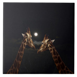 Carreau Giraffe Love In the Moonlight