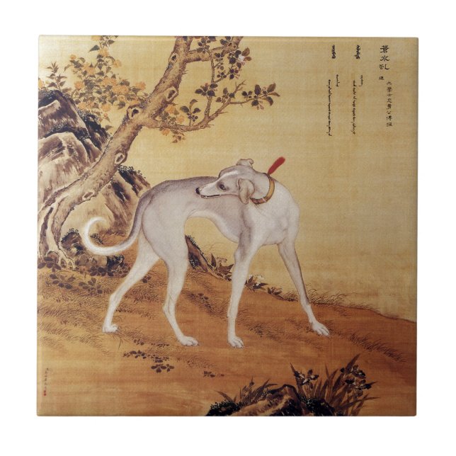 Carreau ~Giuseppe Castiglione~ de lévrier de ~ de 苍水虬 de (Devant)