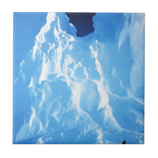 Carreau Glace Antarctique