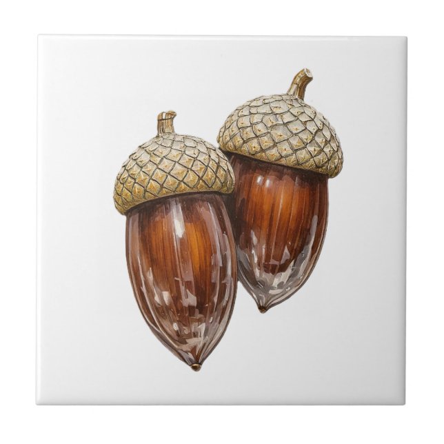 Carreau Glassy Acorns (Devant)