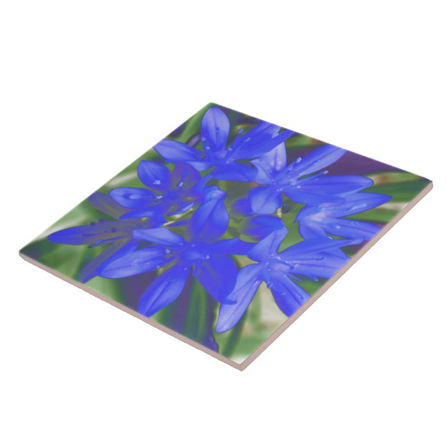 Carreau Gloire de la Neige Fluorescent Carrelage Bleu (Côté)