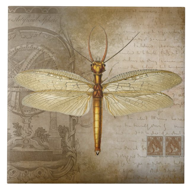 CARREAU GOLDEN DRAGONFLY TILE (Devant)