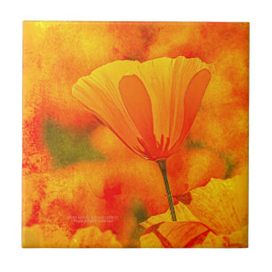 Carreau Golden Orange California Poppy "Terre D'Orange"