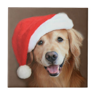 Carreau Golden retriever avec le casquette de Père Noël