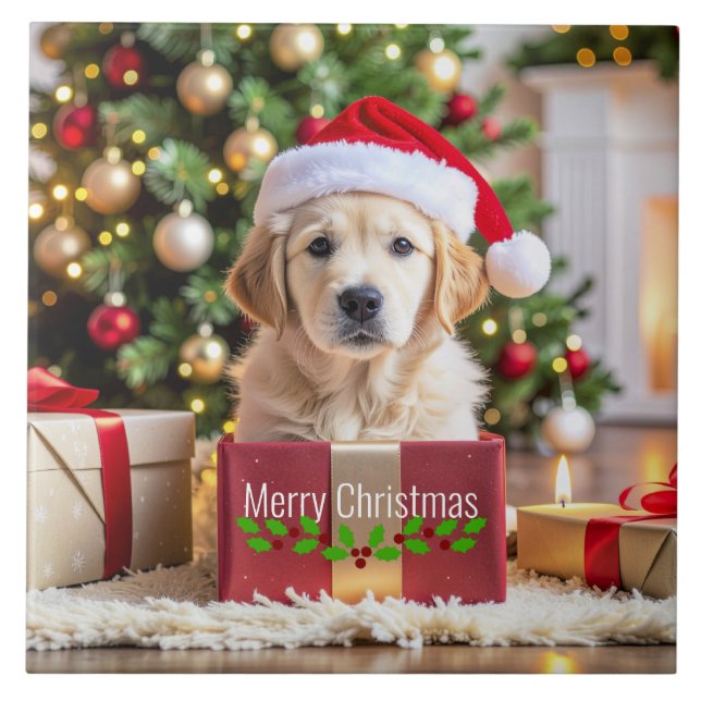 Carreau Golden Retriever Christmas (Devant)