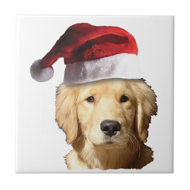 Carreau Golden Retriever de Noël (Devant)