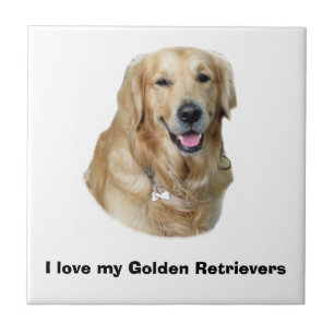 Carreau Golden Retriever dog photo