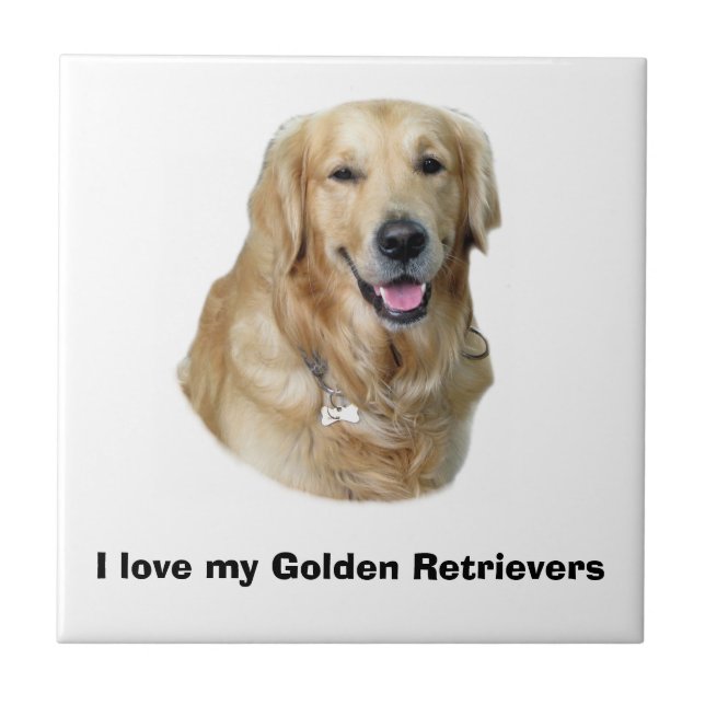 Carreau Golden Retriever dog photo (Devant)