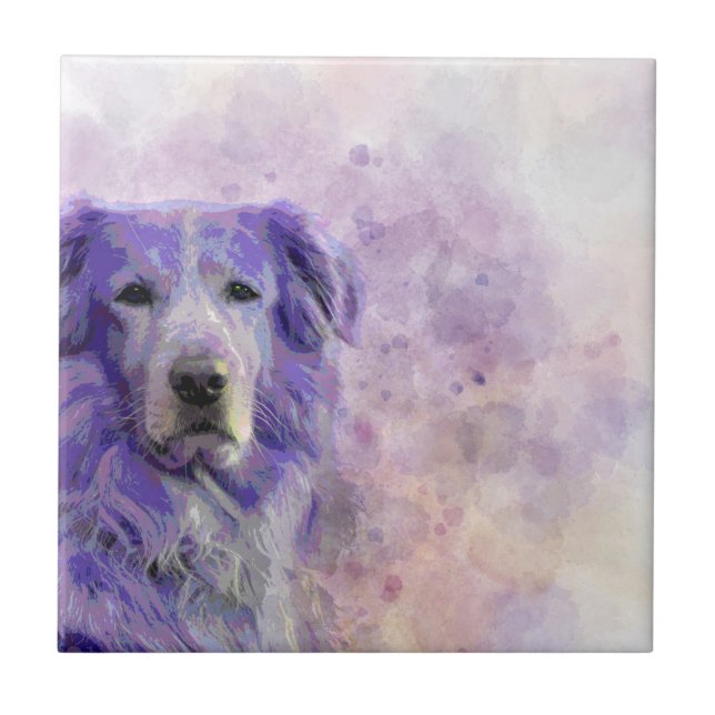 Carreau Golden retriever du chien 140 (Devant)