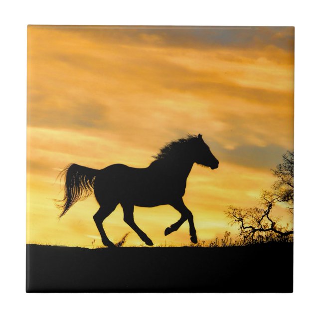 Carreau Golden Sunrise Runse Horse Art Tile (Devant)
