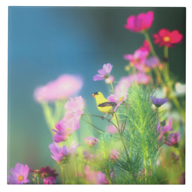 Carreau Goldfinch et Coreopsis américains (Devant)