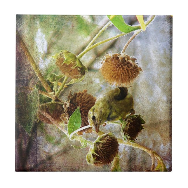 Carreau Goldfinch et Sunflowers (Devant)