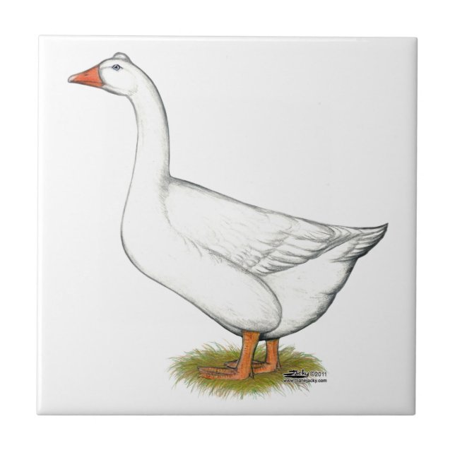Carreau Goose Roman Tufted (Devant)