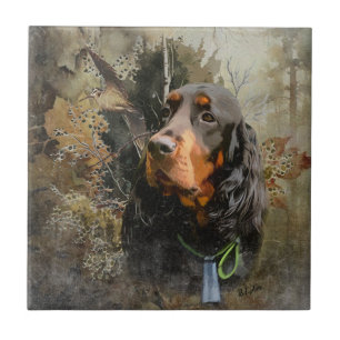 Carreau Gordon Setter