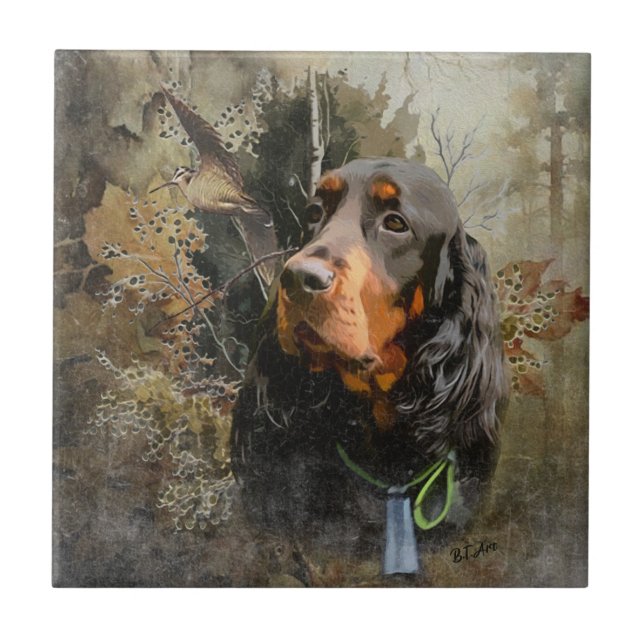 Carreau Gordon Setter (Devant)