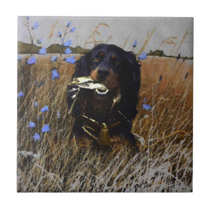 Carreau Gordon Setter