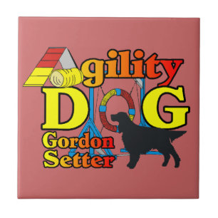 Carreau Gordon Setter Agilité