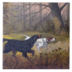 Carreau Gordon Setter sur Point