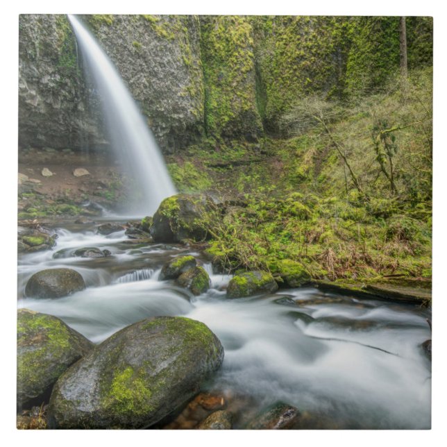 Carreau Gorge du fleuve Columbia, Ponytail Falls (Devant)