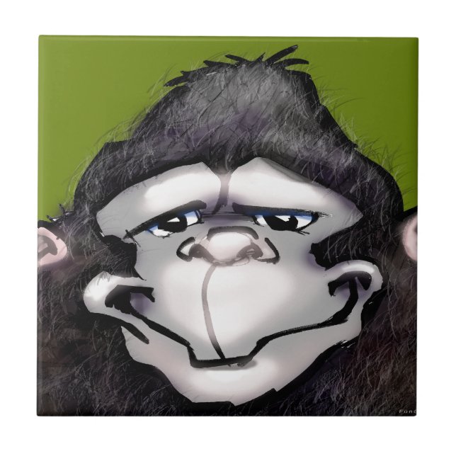 Carreau Gorilla (Devant)