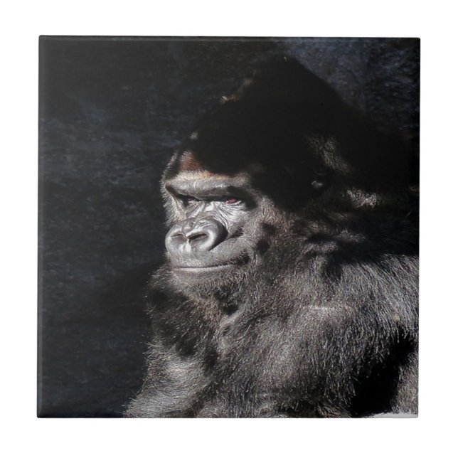 Carreau Gorilla réfléchie (Devant)