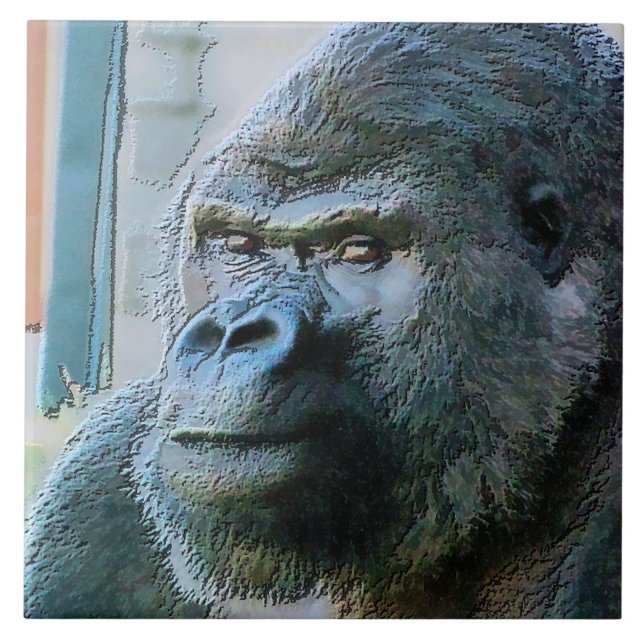 CARREAU GORILLAS (Devant)