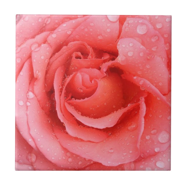Carreau Gouttes d'eau de rose rouge romantique (Devant)