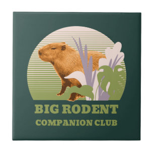 Carreau Grand Club de Compagnons Rongeurs Capybara
