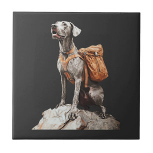 Carreau Grand Pitbull Dane