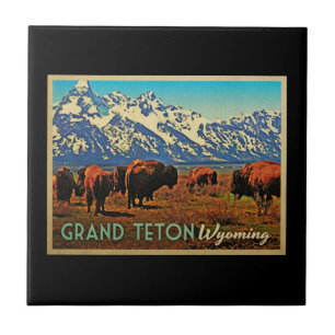 Carreau Grand Teton Wyoming Buffalo