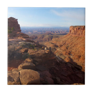 Carreau Grand View Point dans le parc national de Canyonla