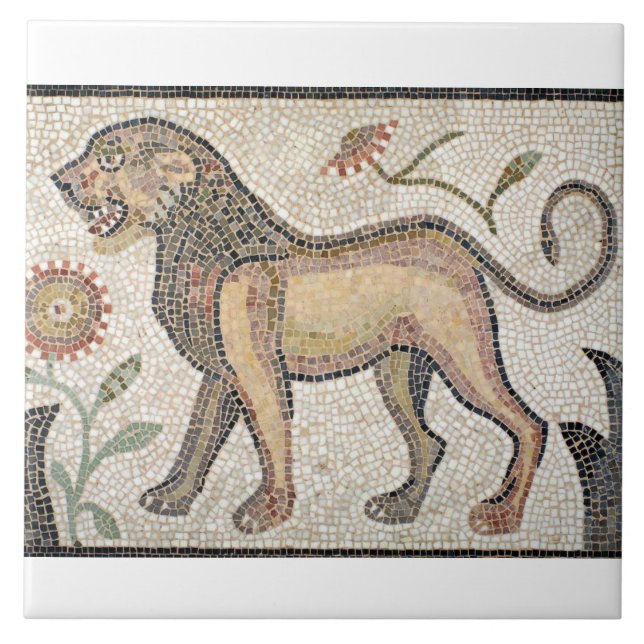 Carreau Grande (6" x 6") tuile en céramique de (Devant)