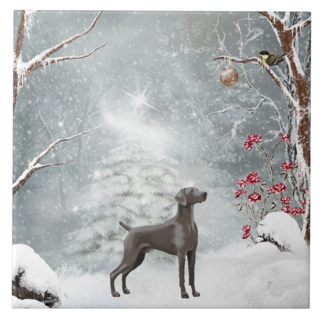 Carreau Grande (6" X 6") tuile en céramique de Weimaraner (Devant)