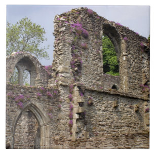 Carreau Grande-Bretagne, Royaume-Uni, Écosse. Ruines 2