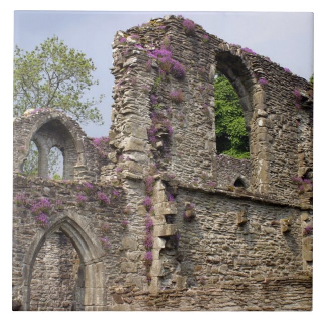 Carreau Grande-Bretagne, Royaume-Uni, Écosse. Ruines 2 (Devant)