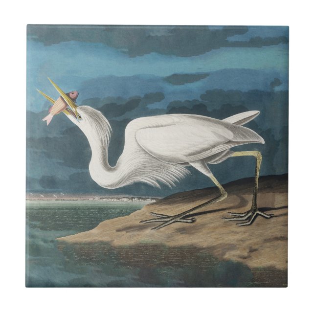 Carreau Grande Peinture de la faune d'Audubon Heron blanc (Devant)