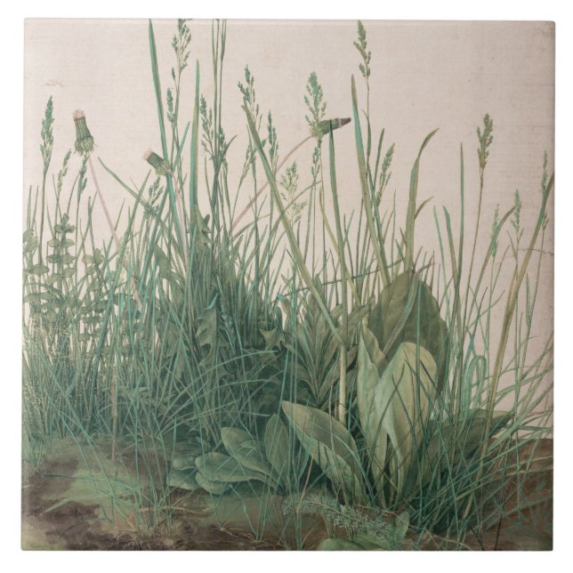 Carreau Grande pièce de Turf (par Albrecht Dürer) (Devant)