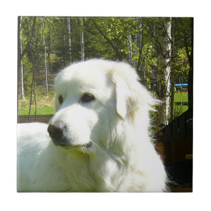 Carreau Grands Pyrénées