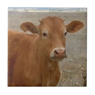 Carreau Grands yeux de vache - bétail rouges