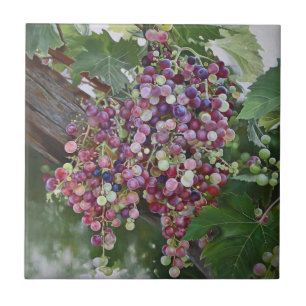 Carreau Grapevine Gloire — Hyperréaliste Vineyard Art pour