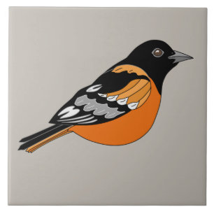 Carreau Graphique d'Oiseau Noir et Orange Oriole