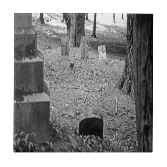 Carreau Grave oubliée (Devant)