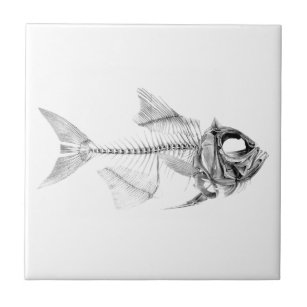 Carreau Gravure à l'eau-forte squelettique de poissons