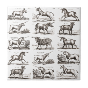 Carreau Gravure de licorne antique Spécimen de zoologie vi