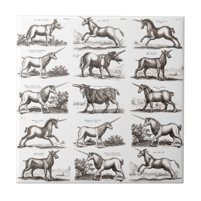 Carreau Gravure de licorne antique Spécimen de zoologie vi (Devant)