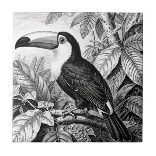 Carreau Gravure de Toucan dans le Feuillage de la Jungle