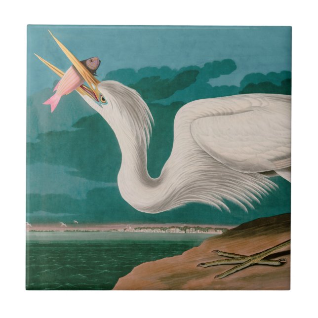 Carreau Great White Heron Birds of America Audubon Imprime (Devant)