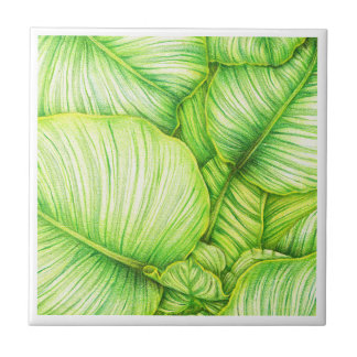 Carreau Green Botanical Ceramic Tile